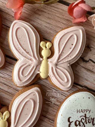 Pastelowy motylek